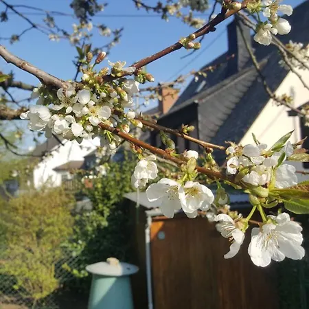 Ferienwohnung Rheinzeit Beim Toni Boppard Extérieur photo